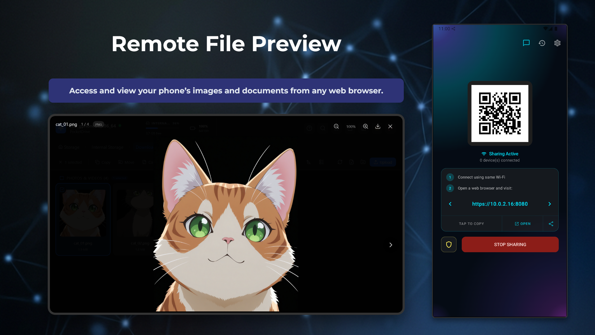 PocketDrive settings screen with WiFi sharing options
